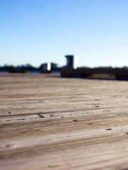 I have seven fairy g