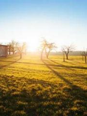 Grandpa Fuapos;s Ful