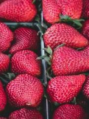 Becoming a Farm Girl