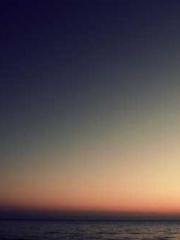 Reborn in the Apocal