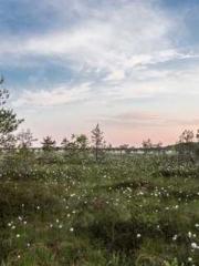 Rong Zhao, male, Nin