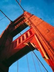 The Undefeated Son-i