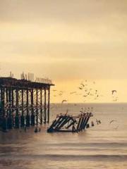 Li Qingqing and Zhao