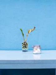 The Beloved Physicia