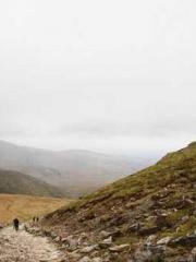 Crossing the Great Q