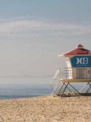 My pets are all amaz