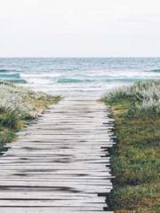 The Rebirth of a Phy