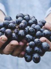 My seven stunning an