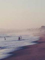 I Picked Up a Cultiv