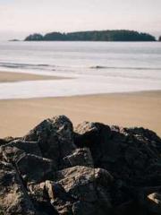 lt;lt;All in, my dec