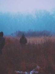 I have seven fairy g