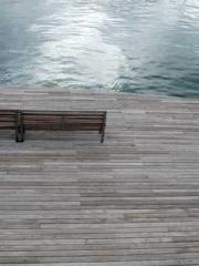 Transmigration: Feel