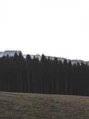 [Fast Travel] Posses