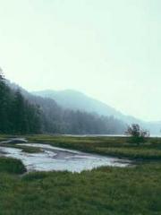 Ling Hao Qin Yuxin R