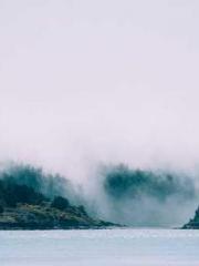 My pets are all amaz