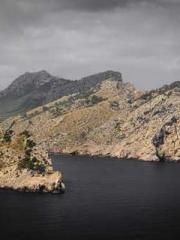 Transmigration: Feel