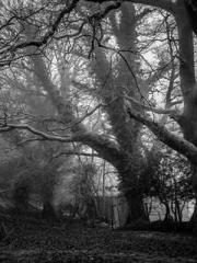 Do not deprive me of