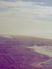 I have seven fairy g